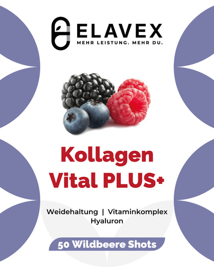 Kollagen Support PLUS