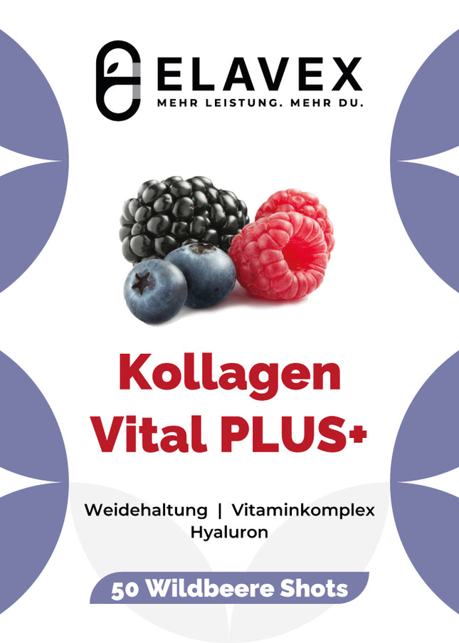 Kollagen Support PLUS
