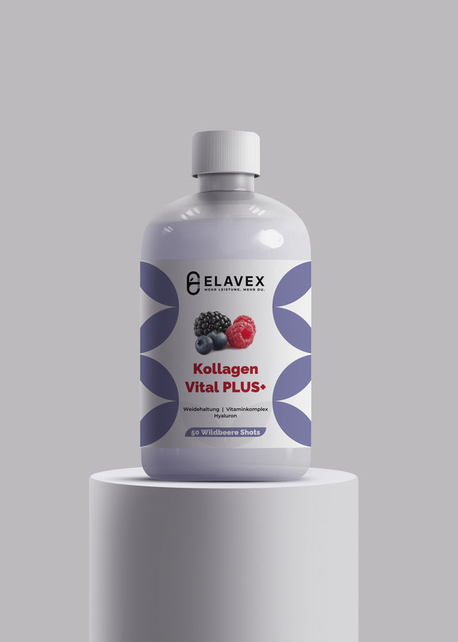 Kollagen Support PLUS