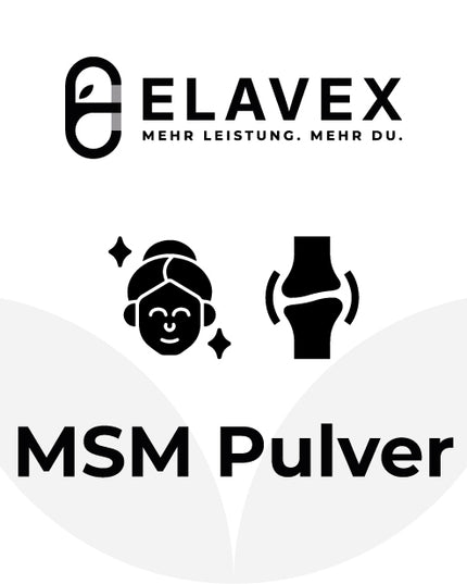 MSM Pulver