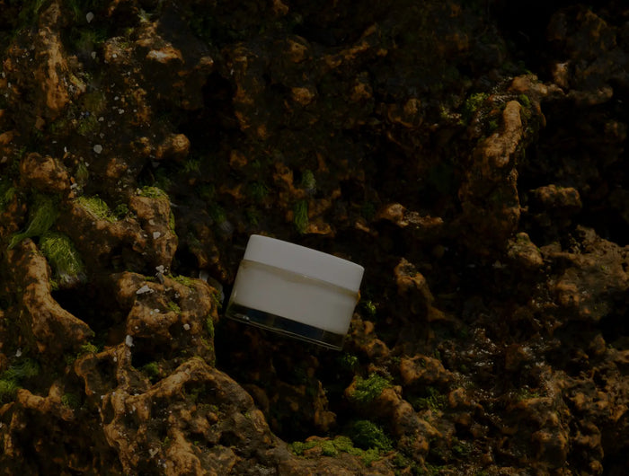 <h2>Köstliche tägliche Nährstoffe in jedem Bissen</h2>